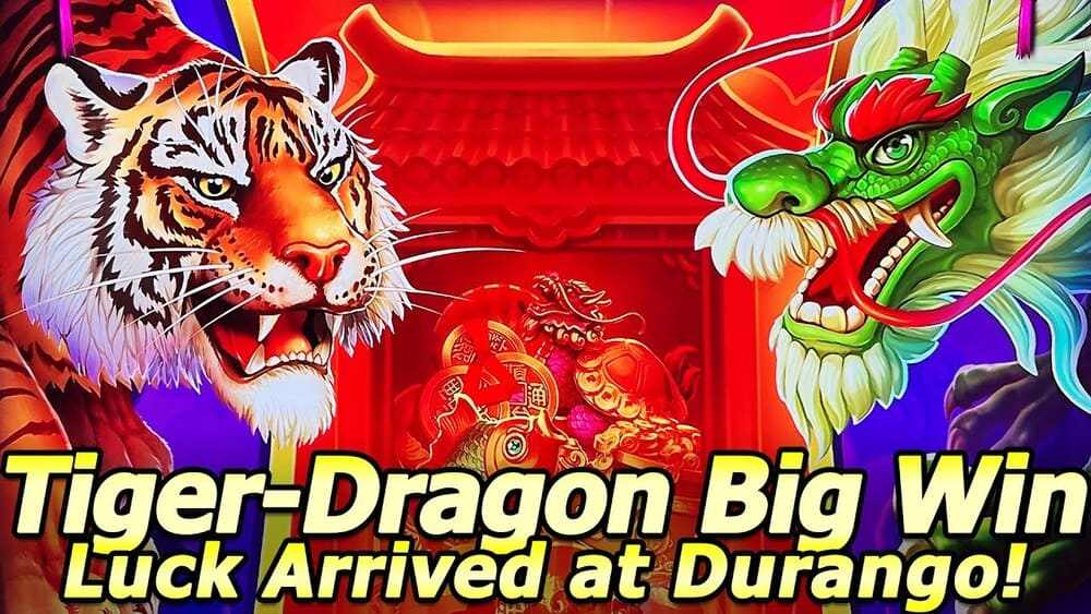 Why Dragon & Tiger Reign Supreme: 6 Irresistible Reasons Fans Love It